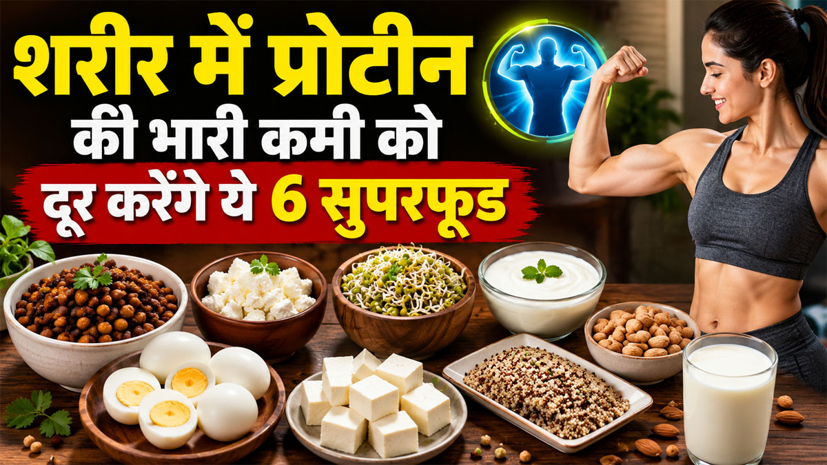 High protein foods diet